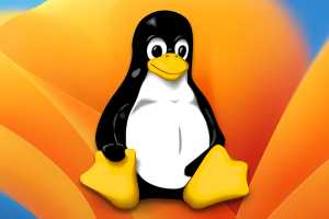 The best Linux backup tools: Don't put it off any longer